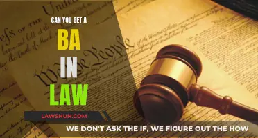 Pursuing a BA in Law: Is It Right for You?