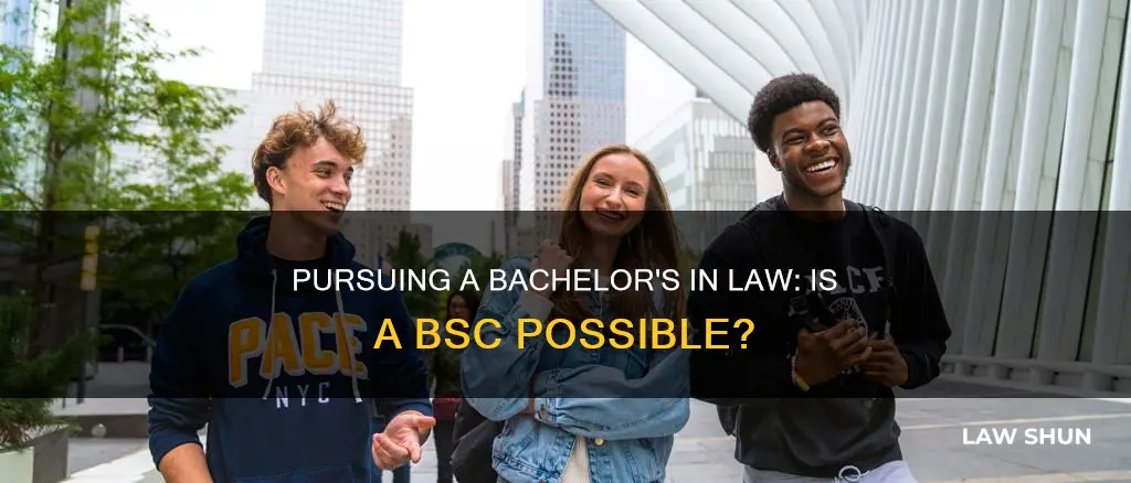 can you get a bsc in law