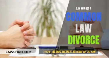 Understanding Common Law Divorce: What Are Your Options?