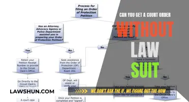 Court Orders: Lawsuits and the Law's Complexities