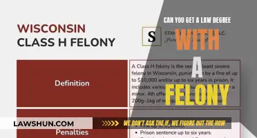 Law Degree with a Felony: Is It Possible?