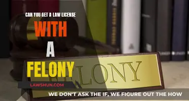 Can Felons Practice Law? Understanding Legal Career Limitations