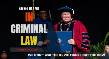 Pursuing a PhD in Criminal Law: Is it Possible?