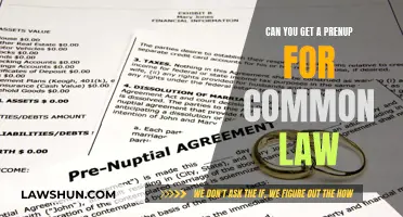 Prenups for Common-Law Partners: Exploring Legal Options