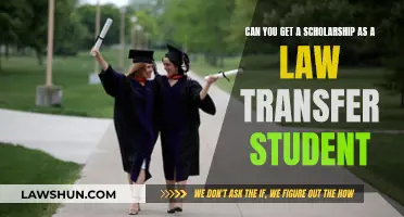 Transfer Law Student Scholarships: Possibilities and Requirements