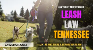 Leash Laws in Tennessee: Understanding Your Rights and Risks