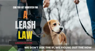 Leash Laws: Understanding Your Rights and Potential Consequences