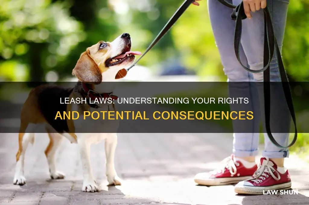 can you get arrested for a leash law
