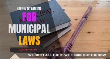 Understanding Municipal Law Violations: Arrest and Enforcement