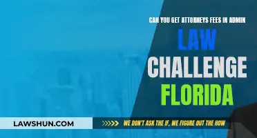 Attorneys' Fees in Florida: Administrative Law Challenges