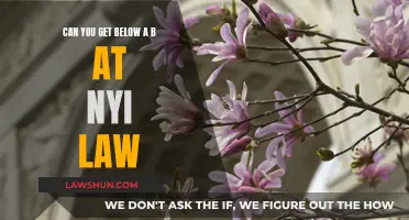 Grades at NYU Law: Is a B- Possible?