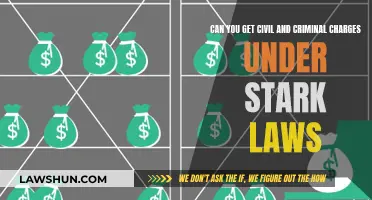 Understanding Stark Law: Civil and Criminal Charges