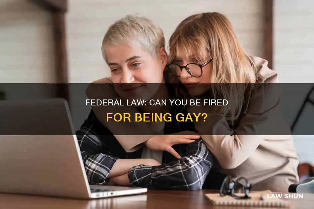 can you get fired for being gay federal law