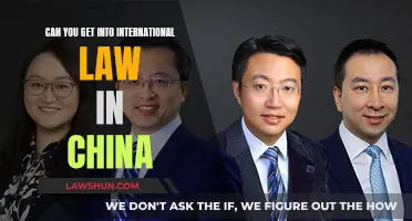 International Law in China: How to Get In?