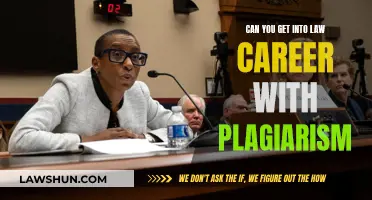 Plagiarism and a Law Career: Is It Possible?