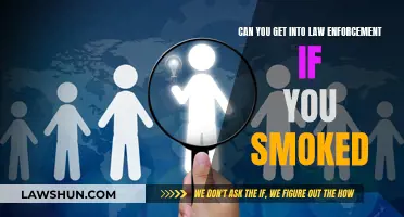 Law Enforcement Careers: Past Marijuana Use, Future Aspirations?