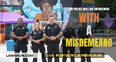Misdemeanor Impact: Law Enforcement Career Prospects