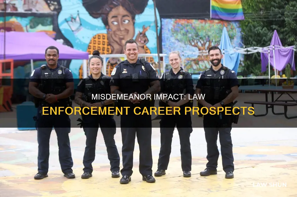 can you get into law enforcement with a misdemeanor