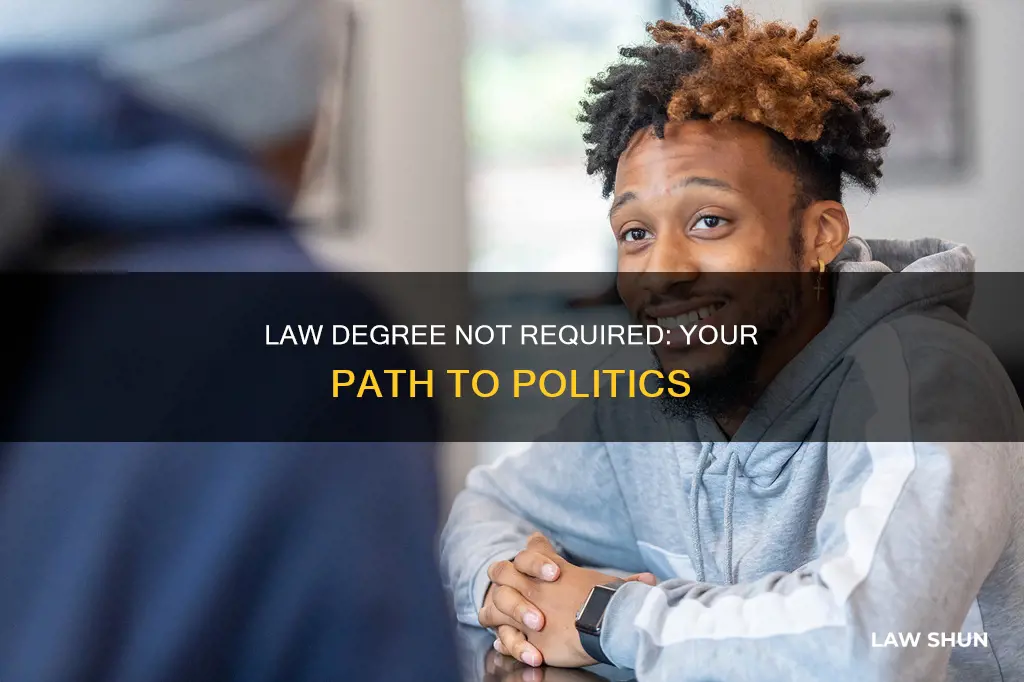 can you get into politics without a law degree