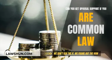 Common-Law Spousal Support: What You Need to Know