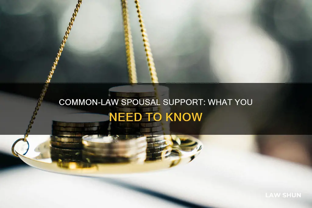 can you get spousal support if you are common law