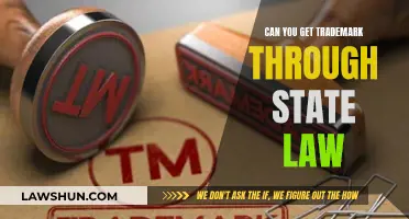 Trademark Protection: State Law vs Federal Law