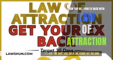 Manifesting an Ex Back: Does the Law of Attraction Work?