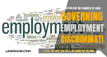 Understanding Employment Discrimination Laws and Examples