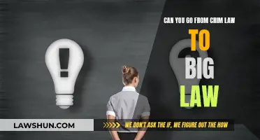 From Criminal Law to Big Law: Is It Possible?