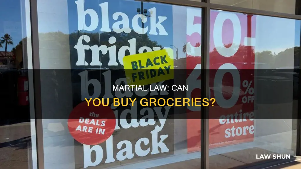 can you go grocery shopping during martial law