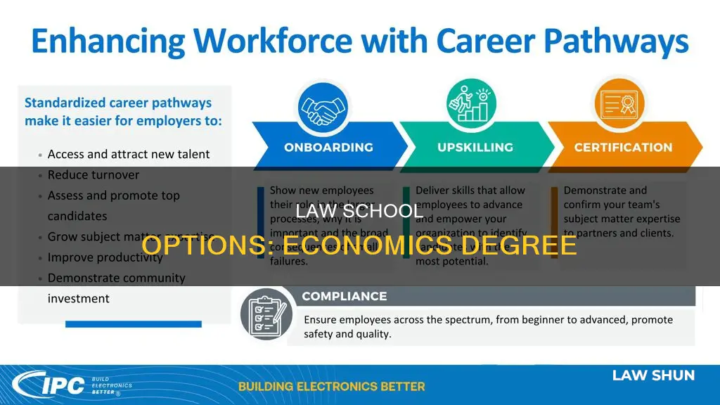 can you go into law with an economics degree