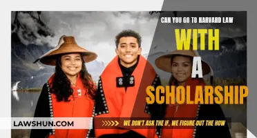 Scholarships: Your Ticket to Harvard Law School