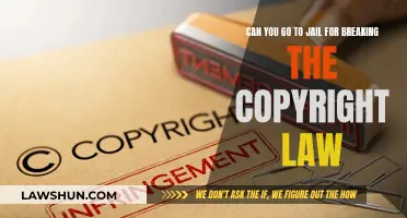 Understanding Copyright Law: Jail Time for Violators?
