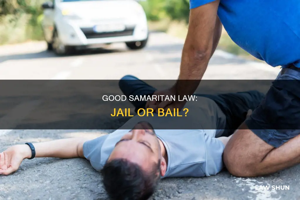 can you go to jail on a good semartian law