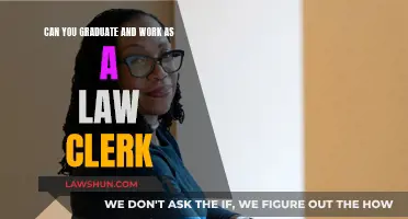 Law Clerk: Work Before Graduation