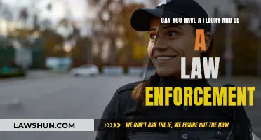 Felons in Law Enforcement: A Career Conundrum?