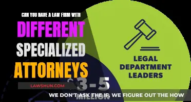 Specialized Attorneys: Building a Diverse Law Firm