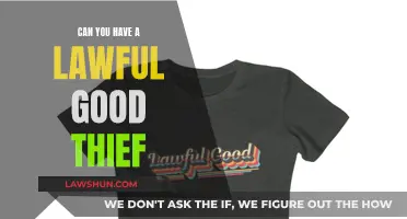 Good Thief: Lawful or Not?