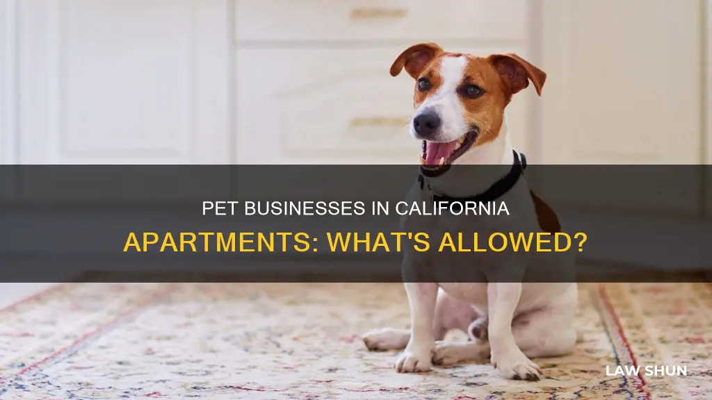 can you have a pet business in apartment california laws