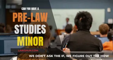 Pursuing a Pre-Law Minor: Is It Worth It?