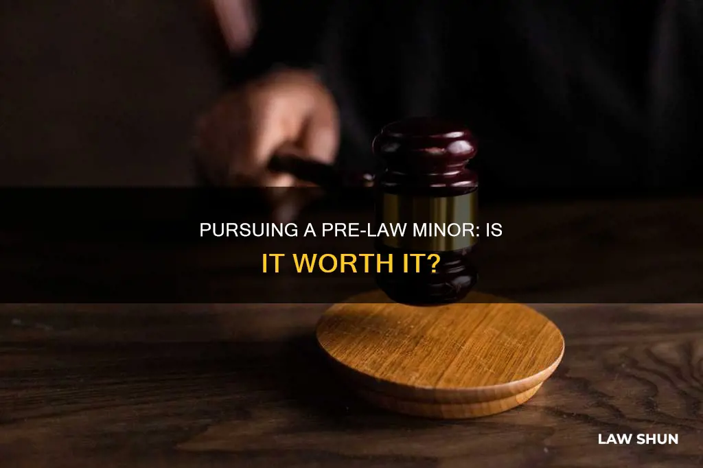 can you have a pre-law studies minor