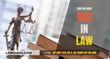 Pursuing a Bachelor's in Law: Is It Possible?
