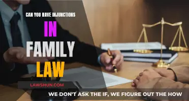 Injunctions: A Powerful Tool in Family Law