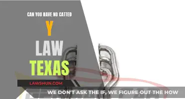 Texas Catalytic Converter Laws: Your Rights Explained
