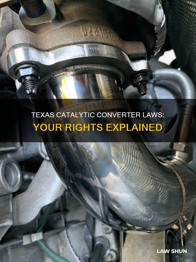 can you have no catted y law texas