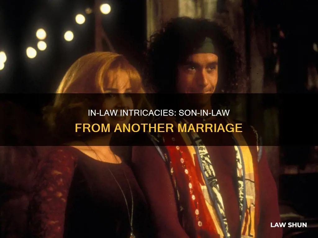 can you have son in law from another marriage