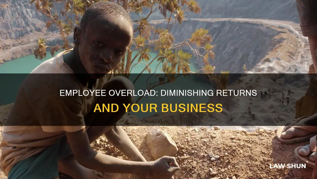 can you have too many employees law of diminishing returns