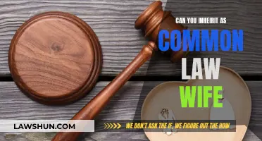 Common-Law Wife: Can You Inherit?