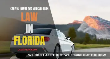 Insuring Multiple Vehicles Under Florida's FR44 Law