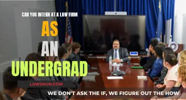 Law Internships: Undergraduate Opportunities